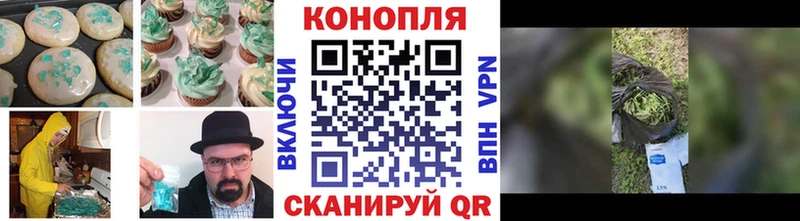 Canna-Cookies марихуана  где купить наркотик  кракен как зайти  Севск 