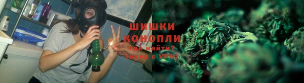 спиды Горняк