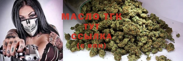 спиды Горняк