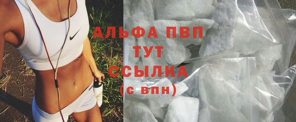 спиды Горняк