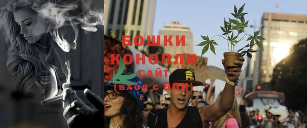 спиды Горняк