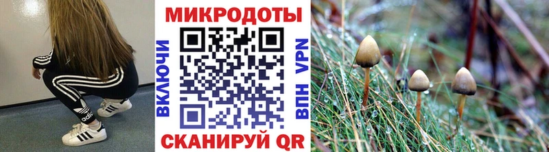 kraken маркетплейс  Севск  Галлюциногенные грибы ЛСД  где можно купить  